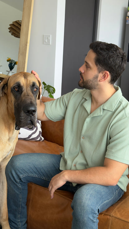 Waffle Shirt Verde Claro